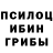 Псилоцибиновые грибы мухоморы NA6IBAIKA BATI