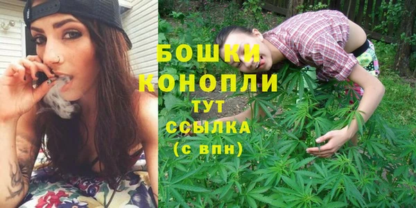 прущие грибы Заволжск