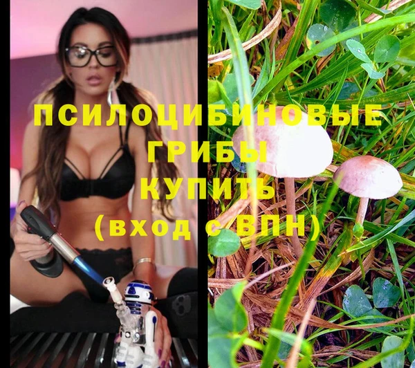 гашиш Алзамай