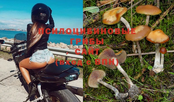 гашиш Алзамай