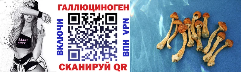 купить Новороссийск Галлюциногенные грибы GOLDEN TEACHER